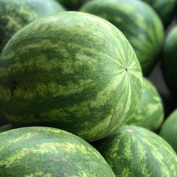 amish country watermelon