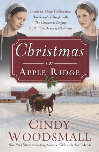 Christmas-in-Apple-Ridge1
