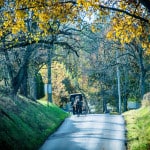 Amish-Buggy-in-Fall