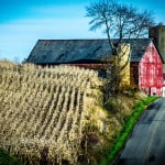 Ohio-Amish-Farm-10