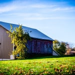 Ohio-Amish-Farm-12