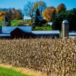 Ohio-Amish-Farm-3