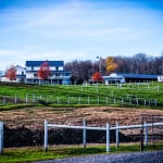 Ohio-Amish-Farm-6