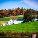 Ohio-Amish-Farm-7