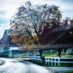 Ohio-Amish-Farm-8