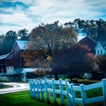 Ohio-Amish-Farm-9