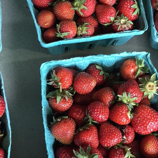 local strawberries