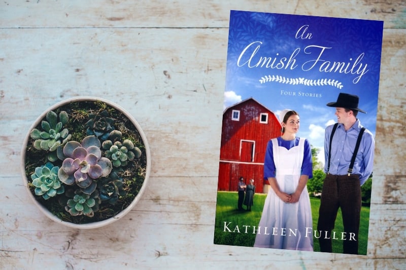 An Amish Family by Kathleen Fuller