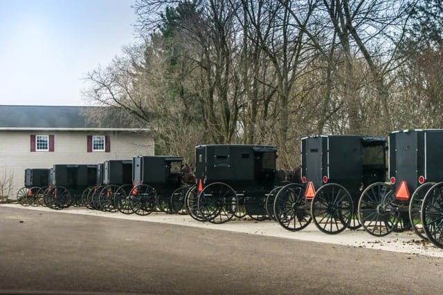 Amish-Buggies-2